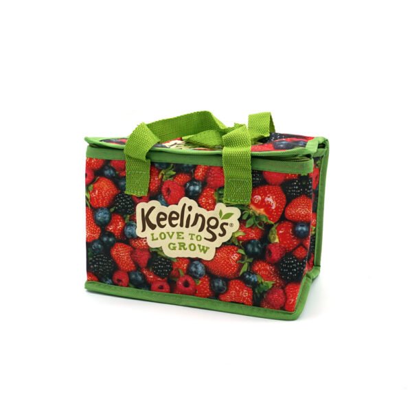 Food Storage Bag Non Woven Insulated Cooler Bag Accept Custom Printing