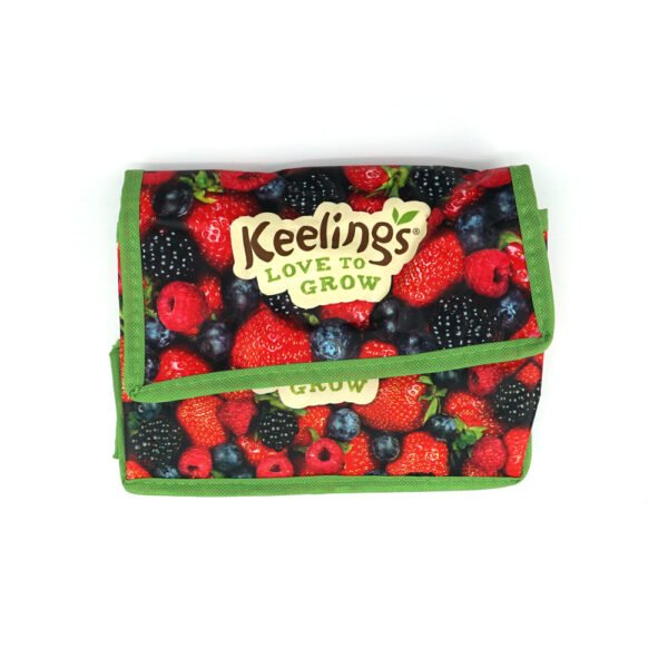 Food Storage Bag Non Woven Insulated Cooler Bag Accept Custom Printing