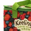 Food Storage Bag Non Woven Insulated Cooler Bag Accept Custom Printing