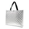Non Woven Insulated Cooler Bag Accept Custom Printing